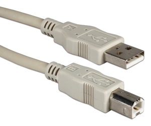 3ft USB 2.0 High-Speed Type A Male to B Male Beige Cable CC2209-03 037229228250